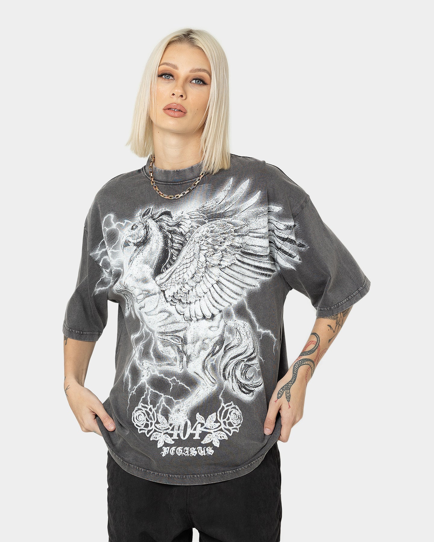 404 Pegasus Vintage T-Shirt Charcoal Style001