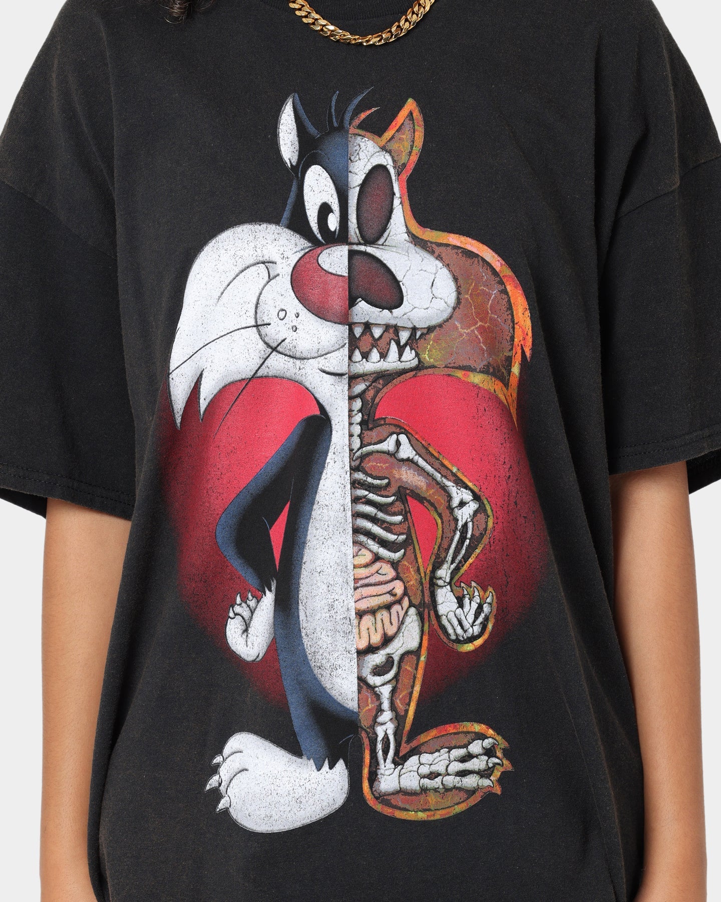 Goat Crew X Looney Tunes Sylvester Vintage T-Shirt Black Wash Style001