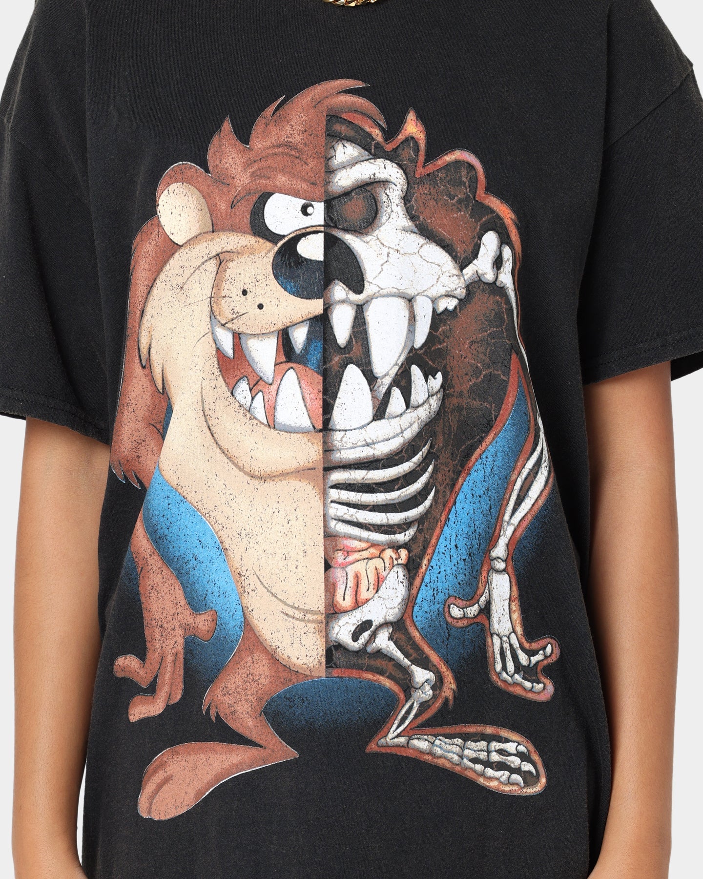 Goat Crew X Looney Tunes Tazzy Vintage T-Shirt Black Wash Style001