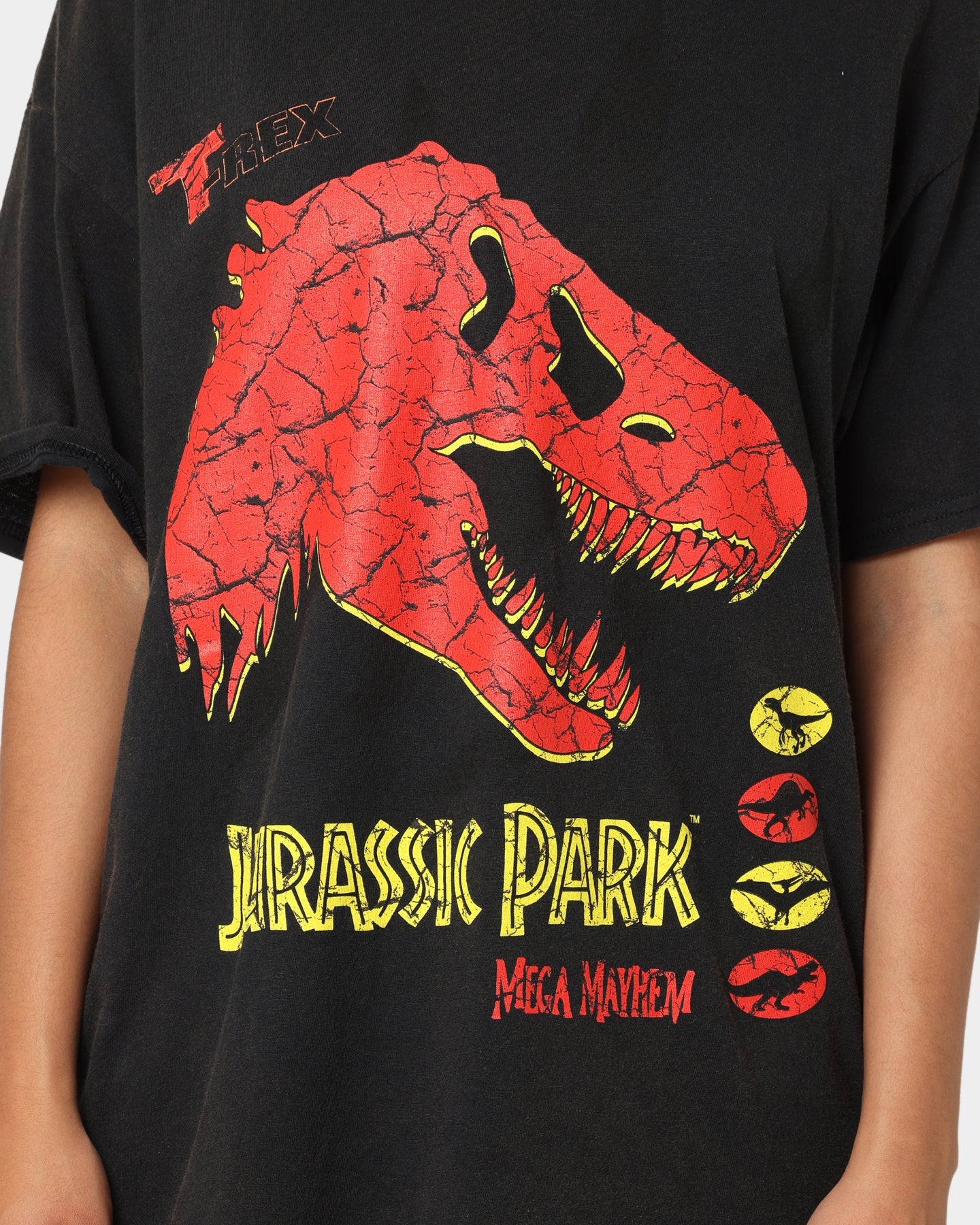 American Thrift X Jurassic Park Mega Mayhem Vintage T-Shirt Black Wash Style001