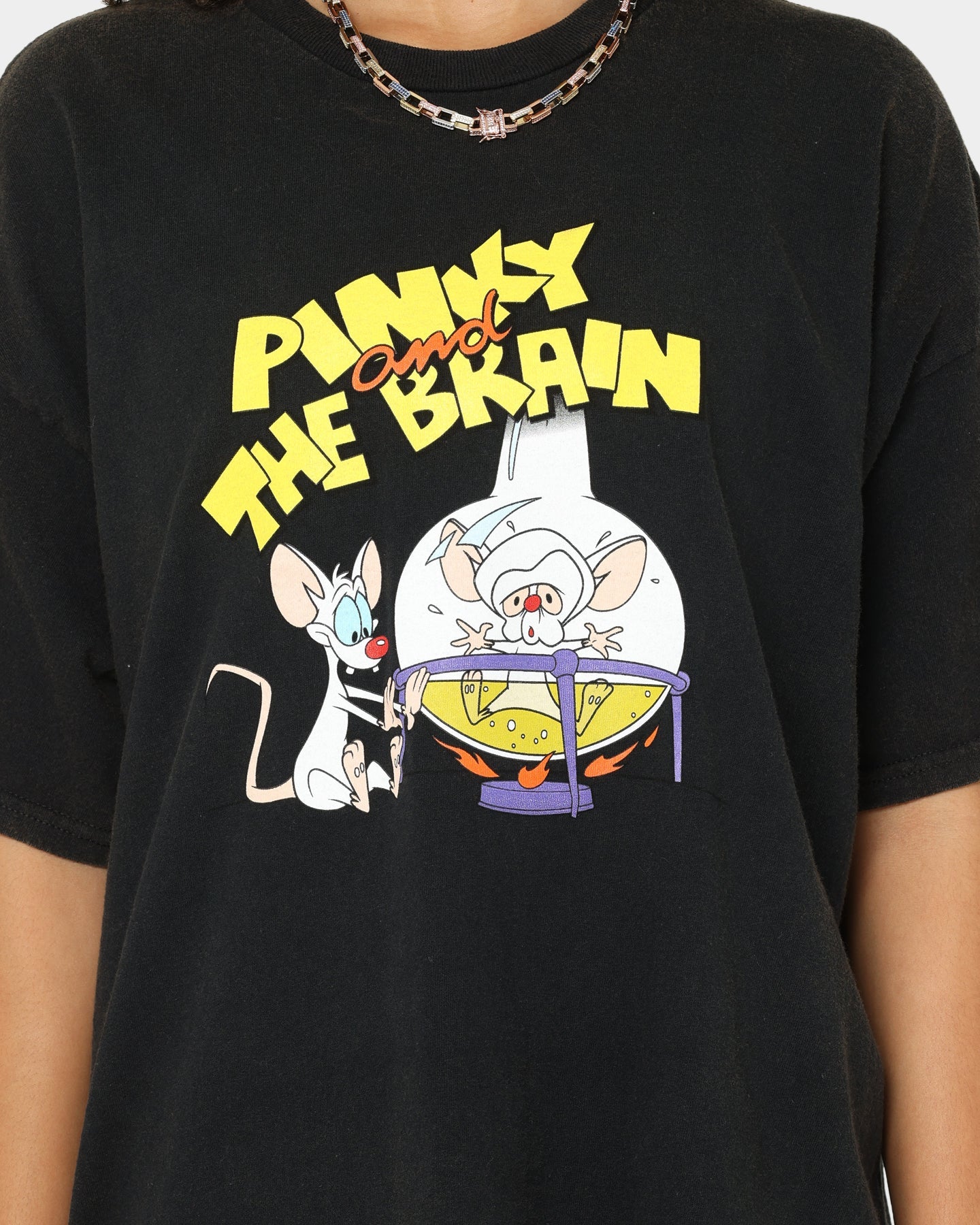 American Thrift X Pinky And The Brain Pinky And The Brain Vintage T-Shirt Black Wash Style001