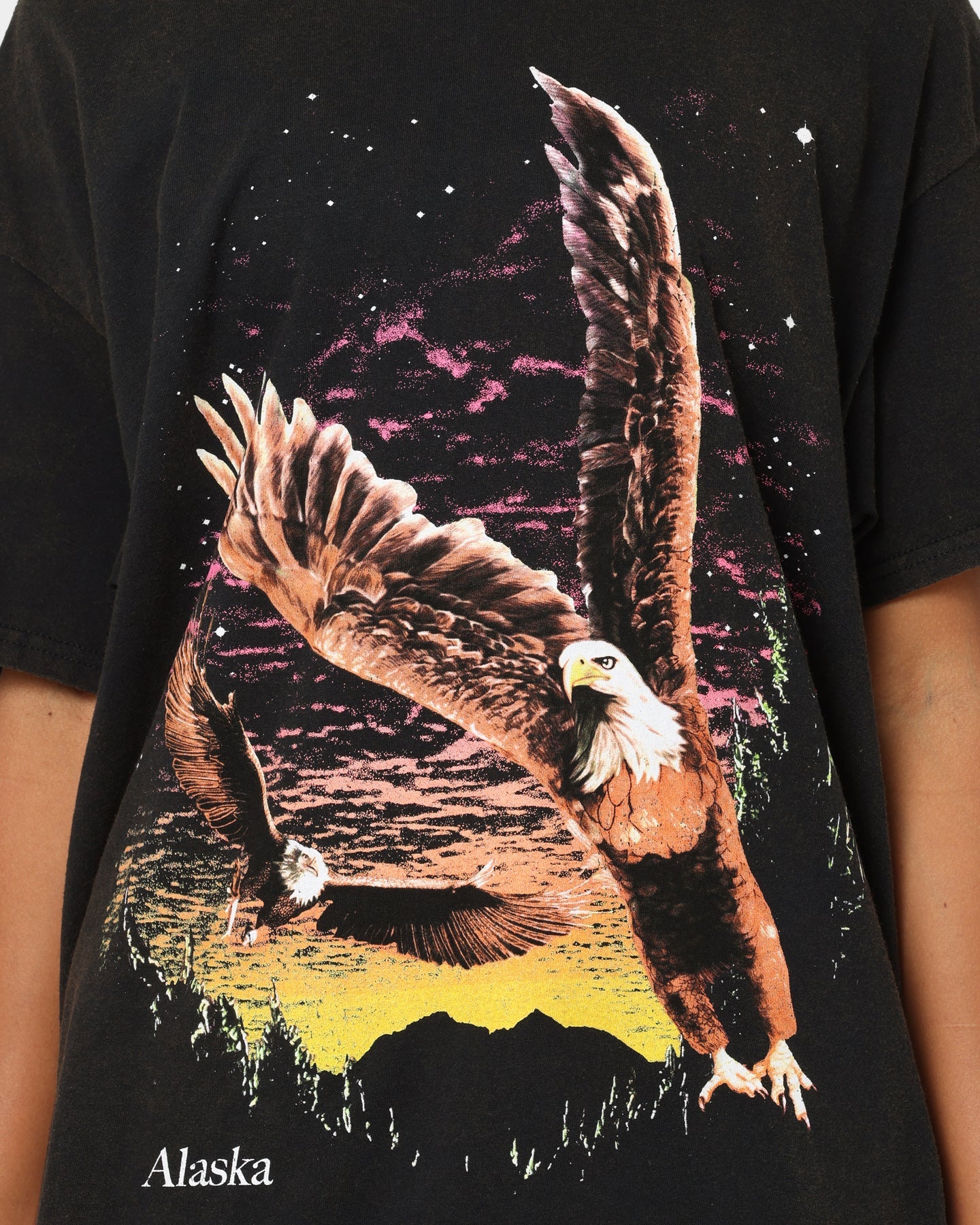 American Thrift Alaska Vintage T-Shirt Washed Black Style001