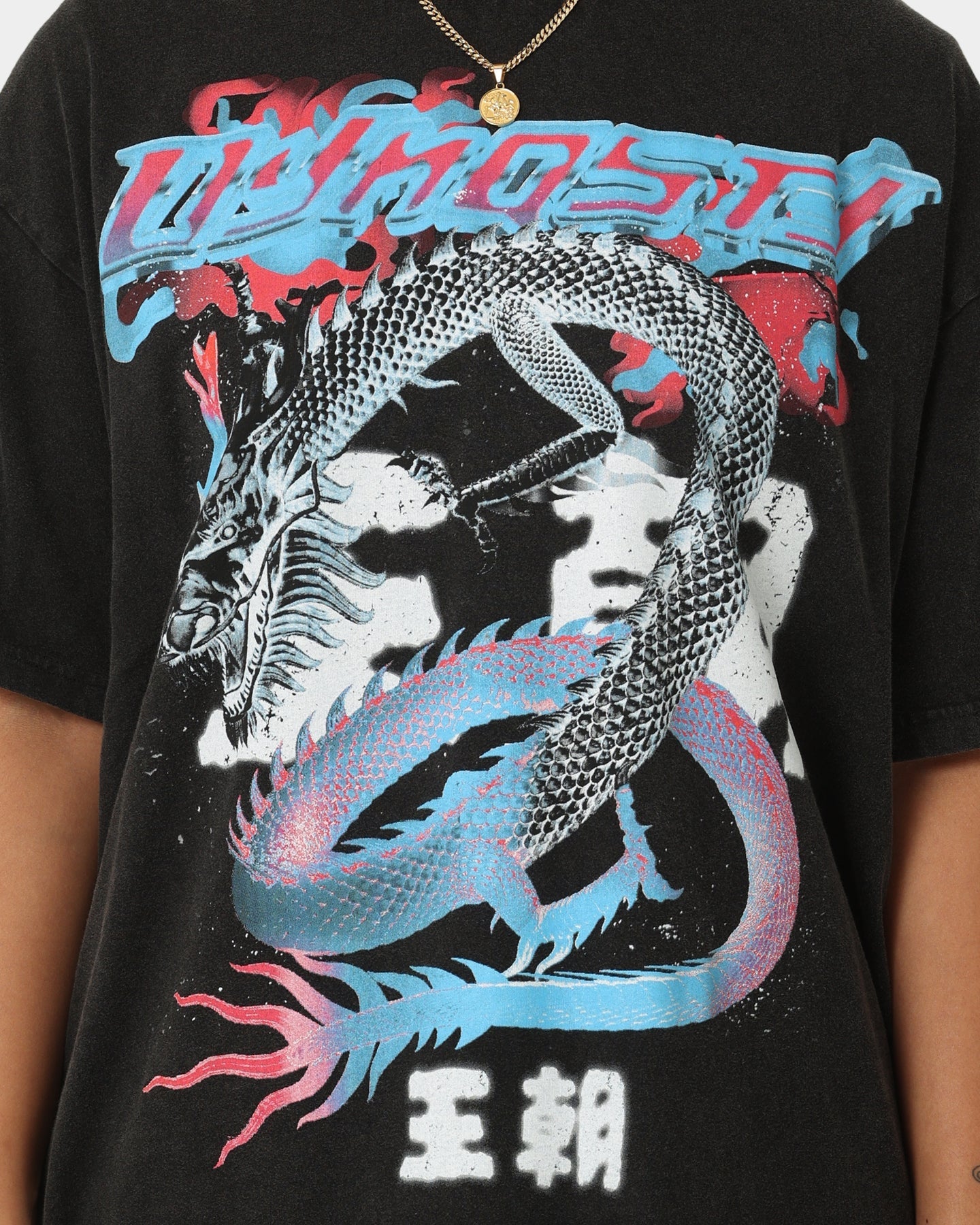 Loiter Dynasty Vintage T-Shirt Vintage Black Style001