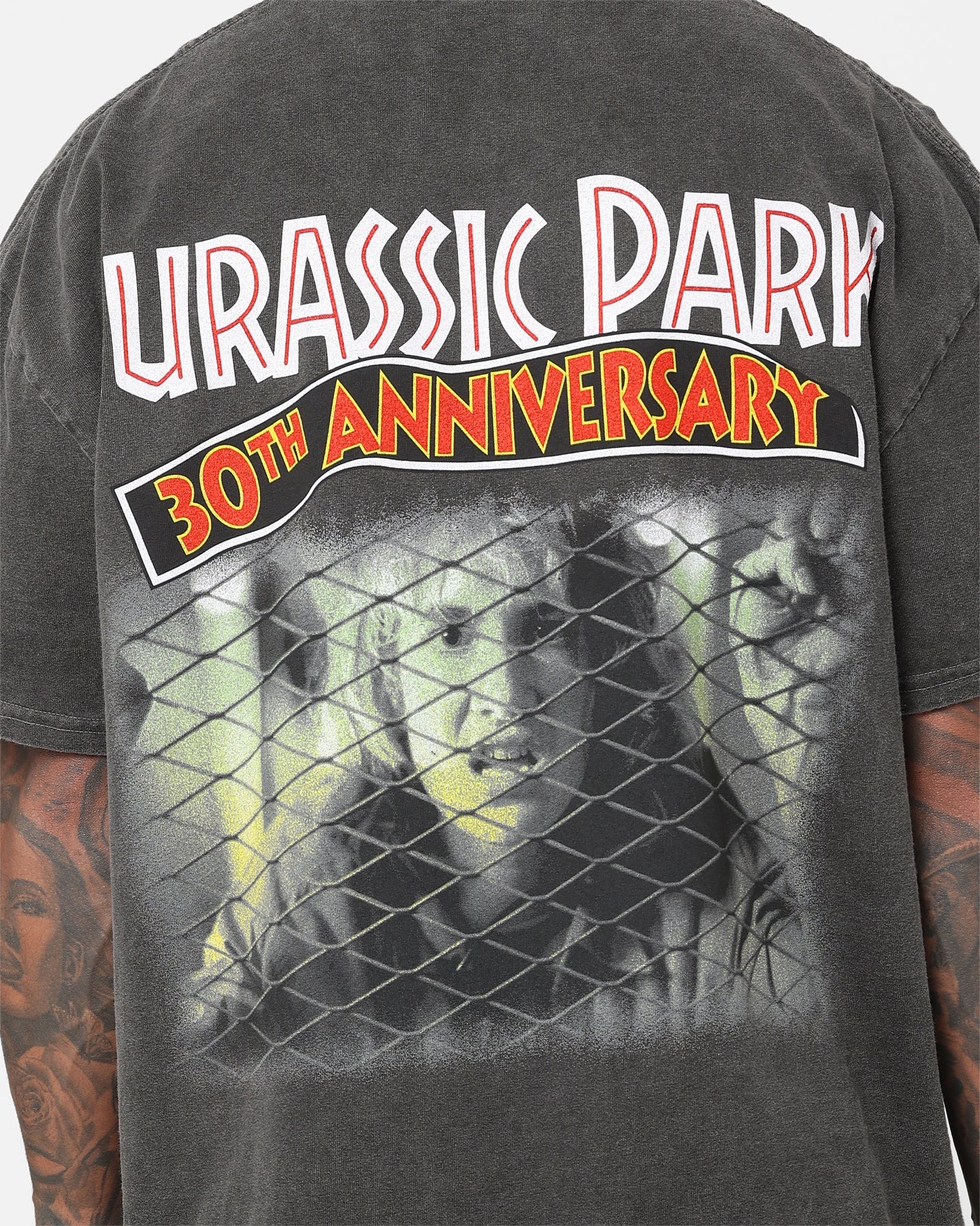American Thrift X Jurassic Park 30th Anniversary Heavyweight Vintage T-Shirt Black Wash