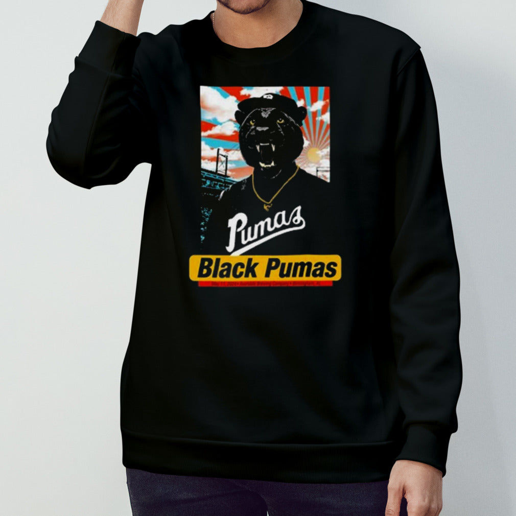 Black Pumas Tour In Birmingham Al 2024 T-shirt
