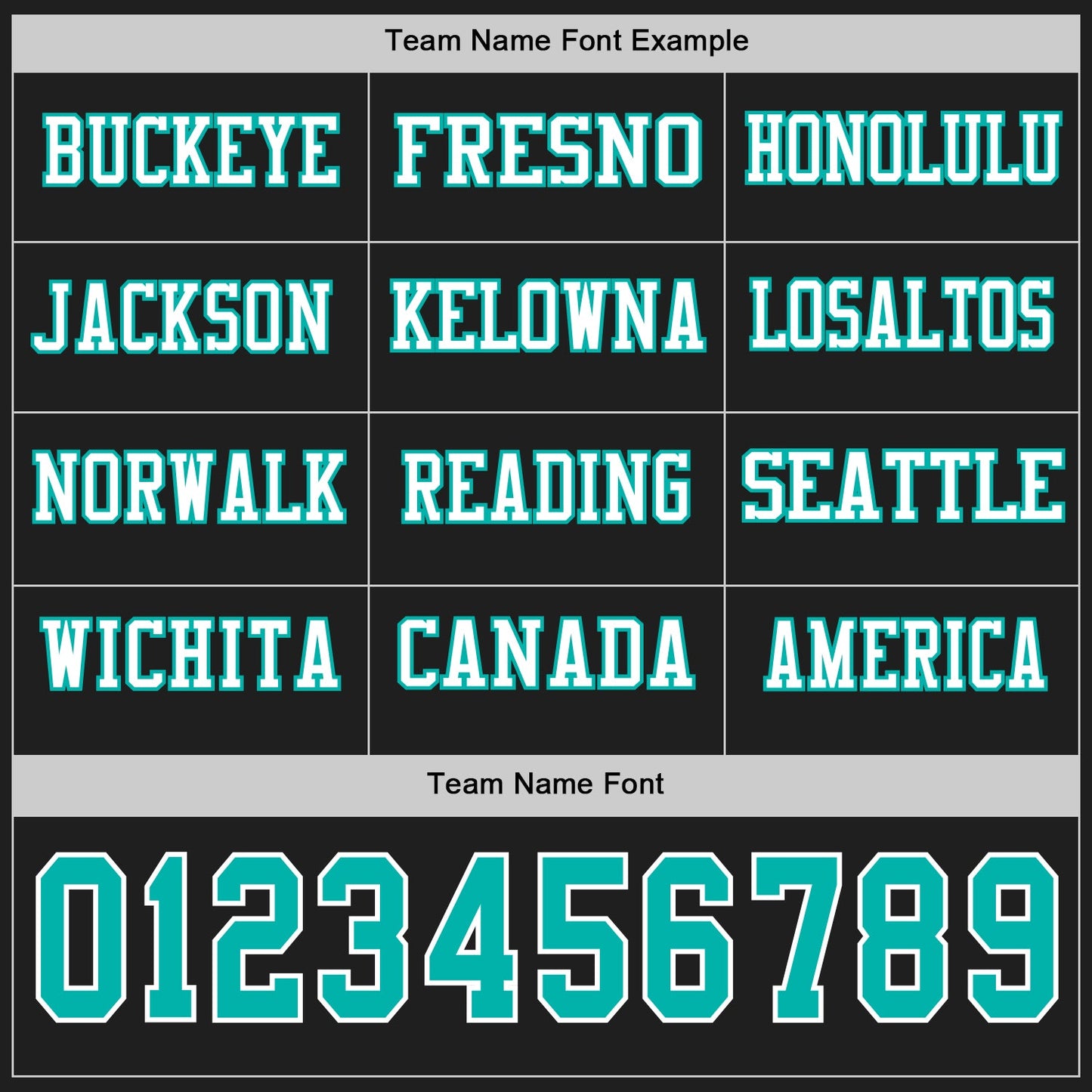 Custom Black Aqua-White Long Sleeve Authentic Football Jersey