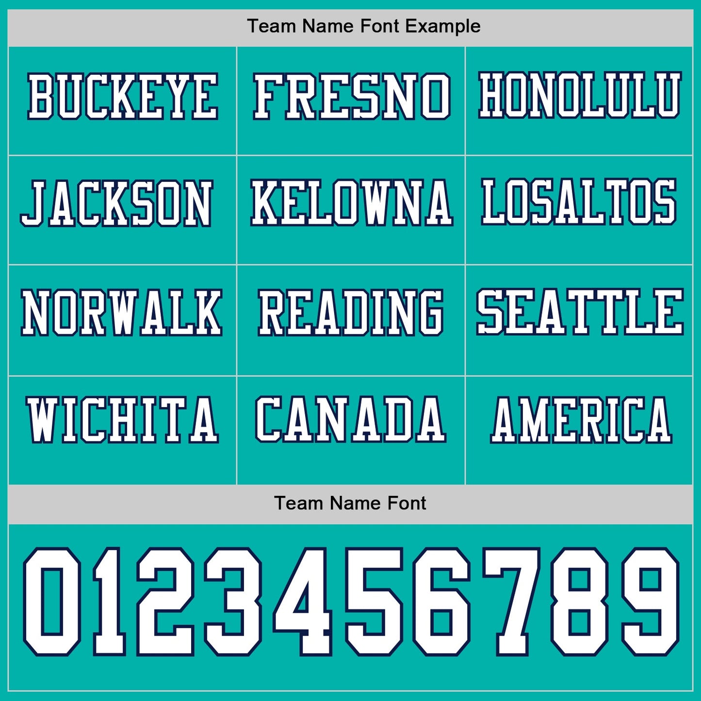 Custom Aqua White-Navy Long Sleeve Authentic Football Jersey