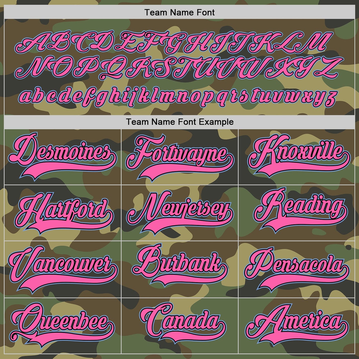 Custom Camo Light Blue-Pink Salute To Service Hockey Jersey