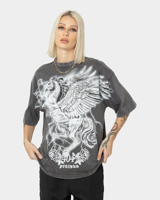 404 Pegasus Vintage T-Shirt Charcoal Style001