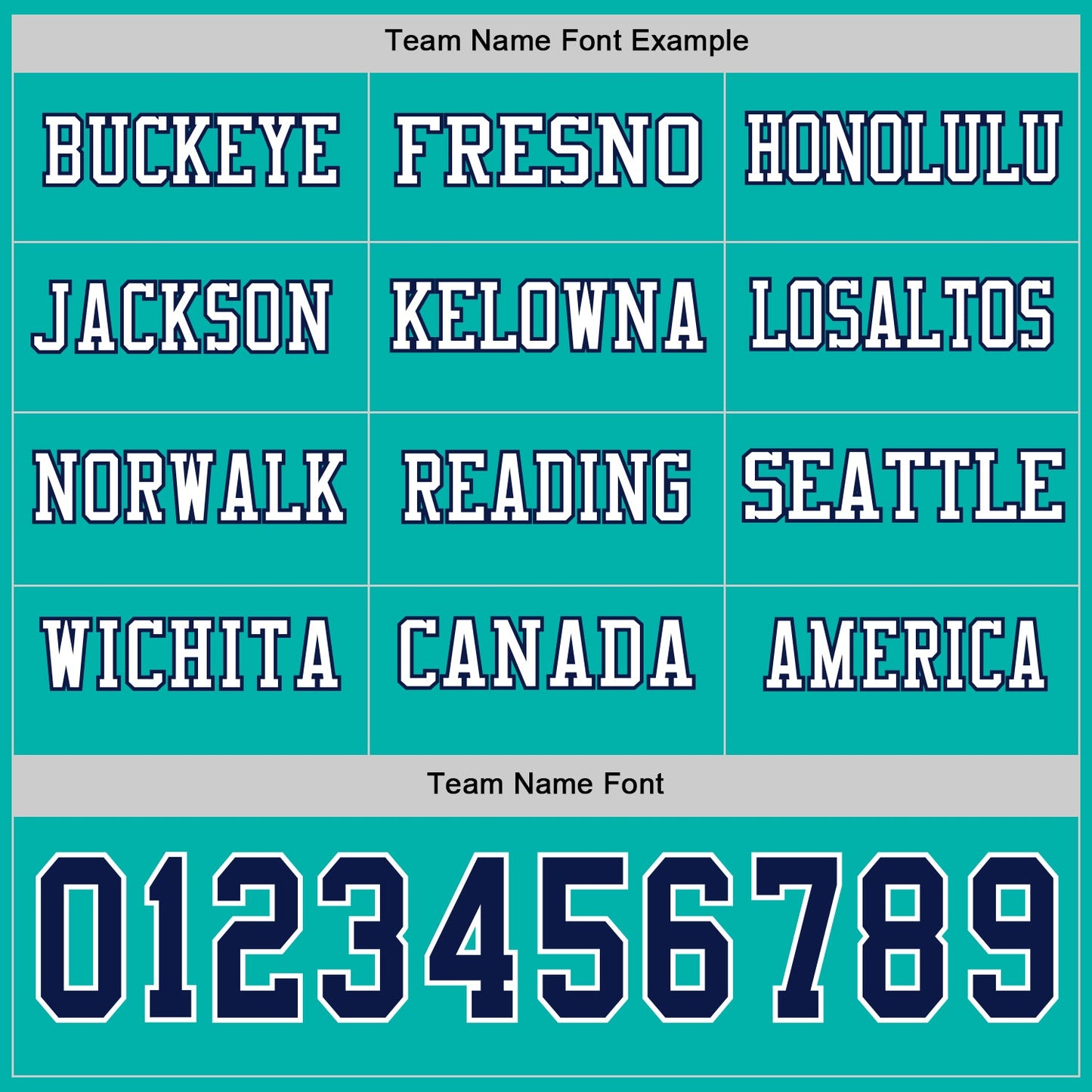 Custom Aqua Navy-White Long Sleeve Authentic Football Jersey