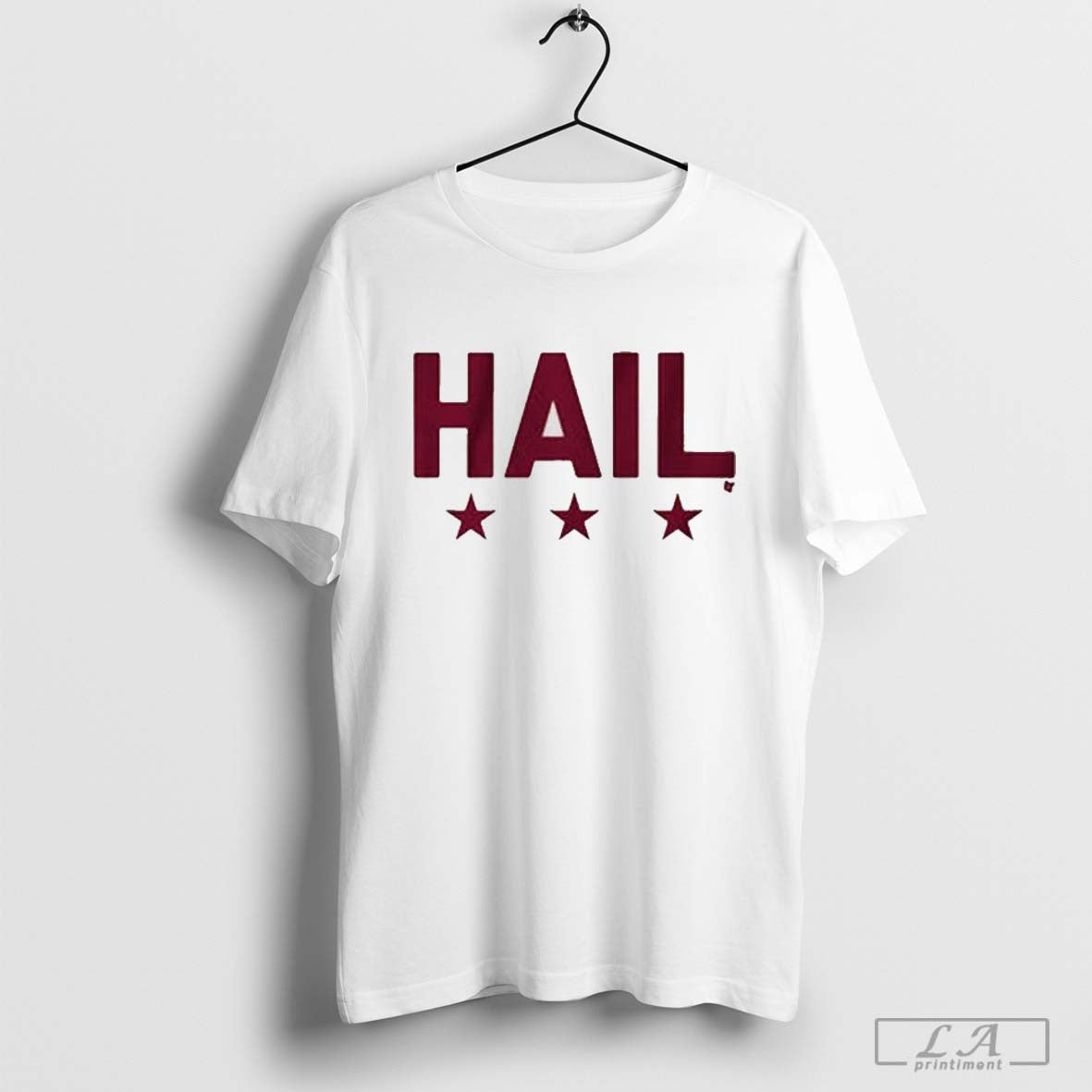 Washington Football hail shirt